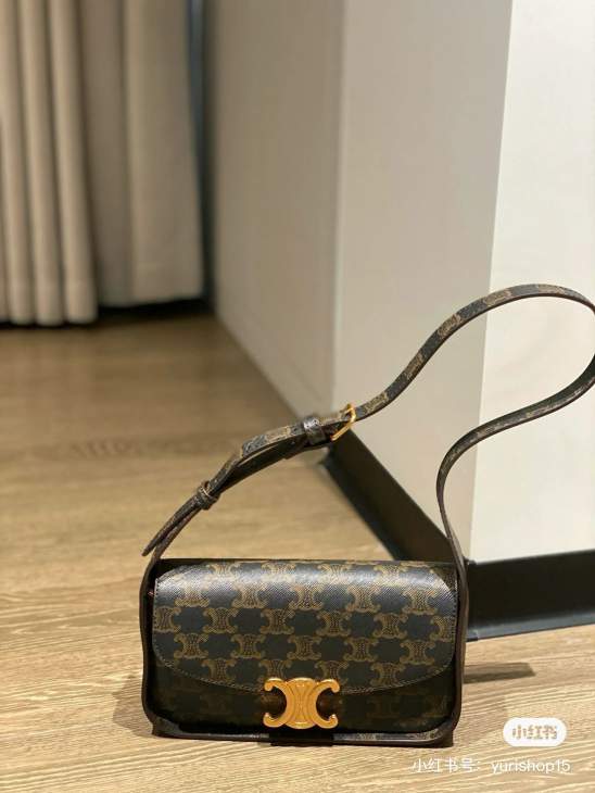 Picture of Celine Handbags _SKUfw225666721fw